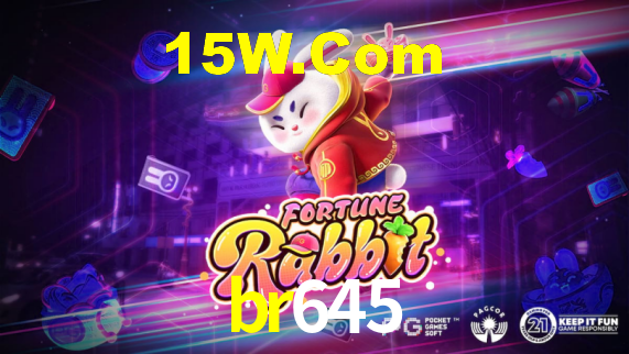 Interface Premium br645